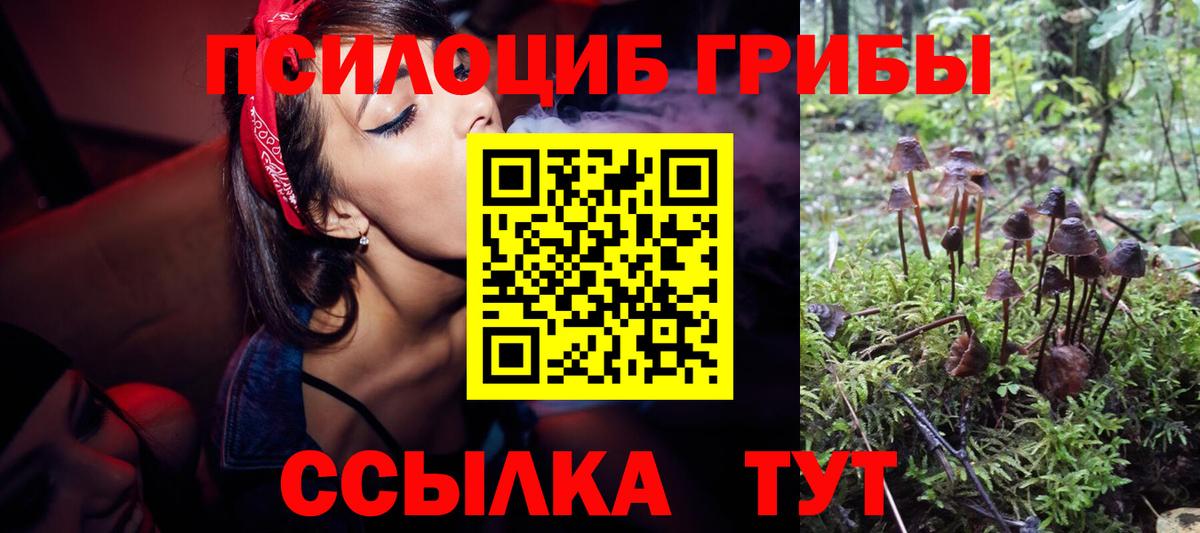 Псилоцибиновые грибы мицелий  Вход с VPN  Кинель 
